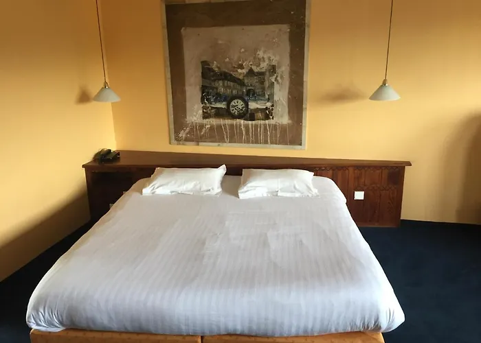 La Belle Vue Bed & Breakfast Saulxures